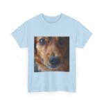 Dog t-shirt