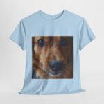 Dog t-shirt