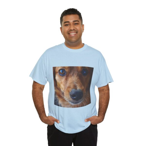 Dog t-shirt