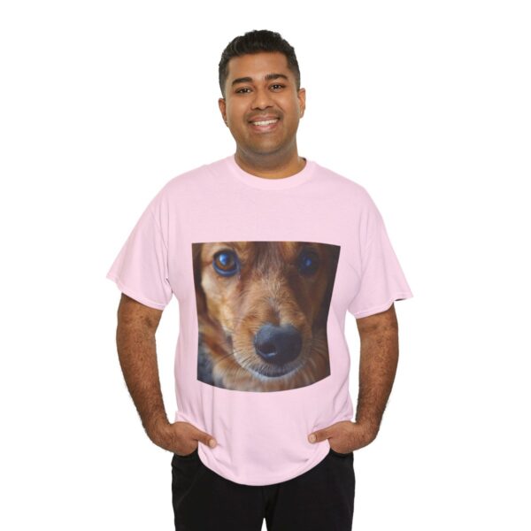 Dog t-shirt