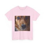 Dog t-shirt