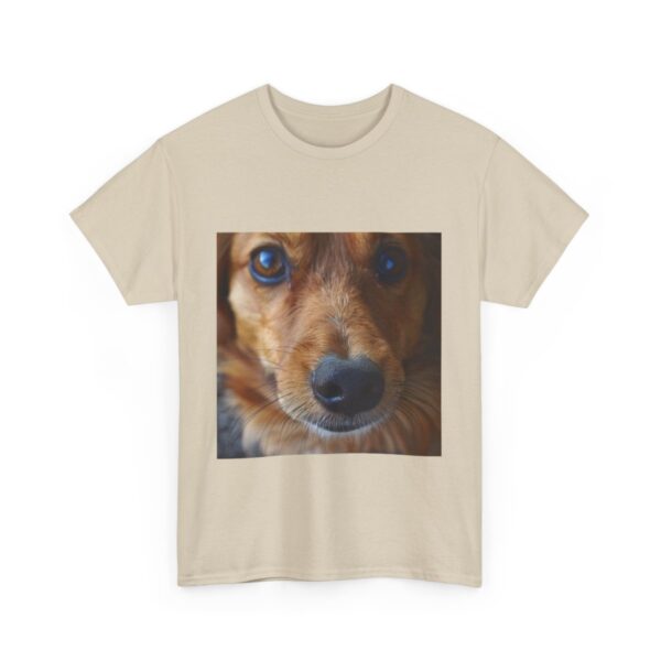 Dog t-shirt