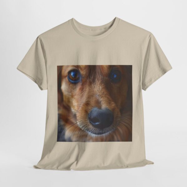 Dog t-shirt