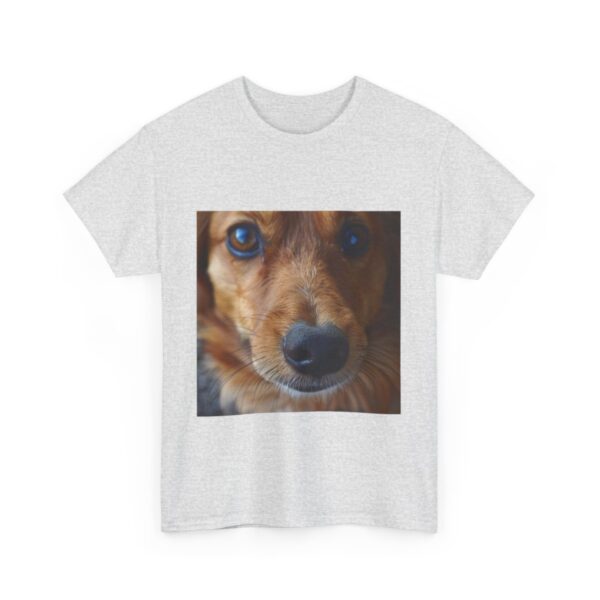 Dog t-shirt