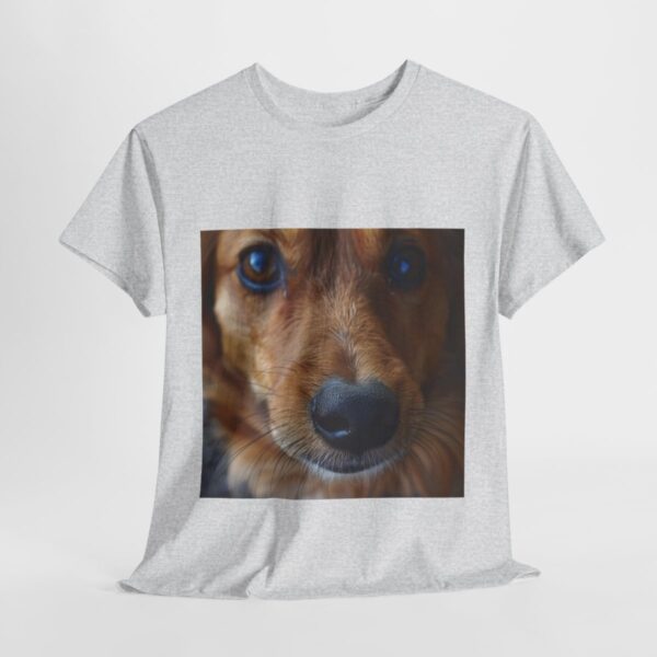 Dog t-shirt